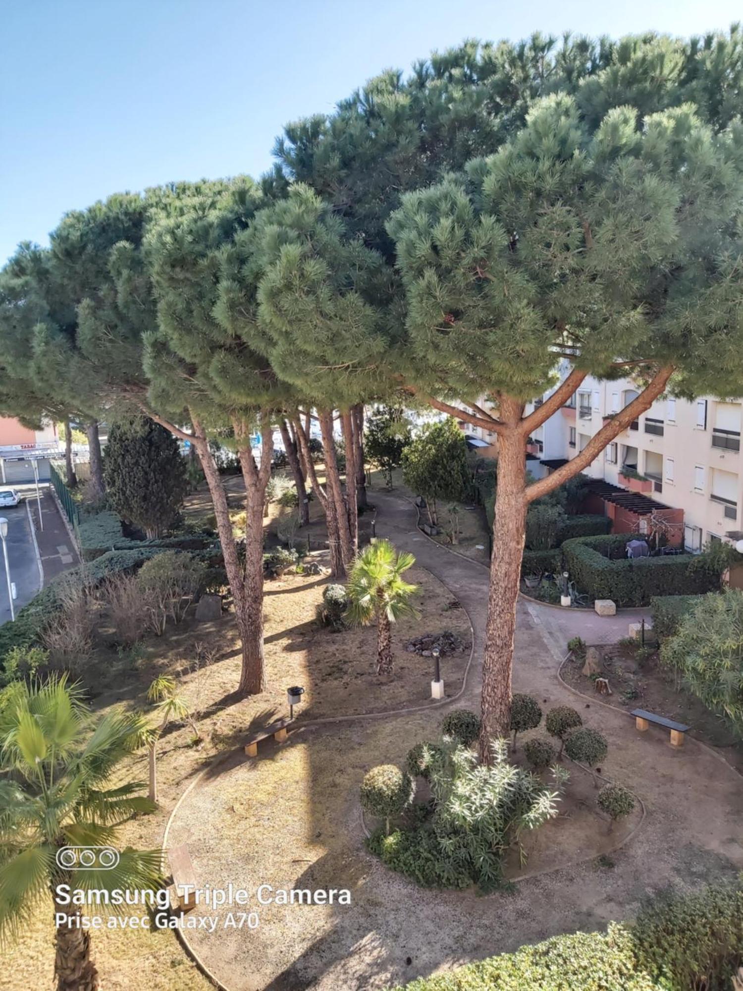 Coquet Studio Centre Port Cap D'Agde Extérieur photo